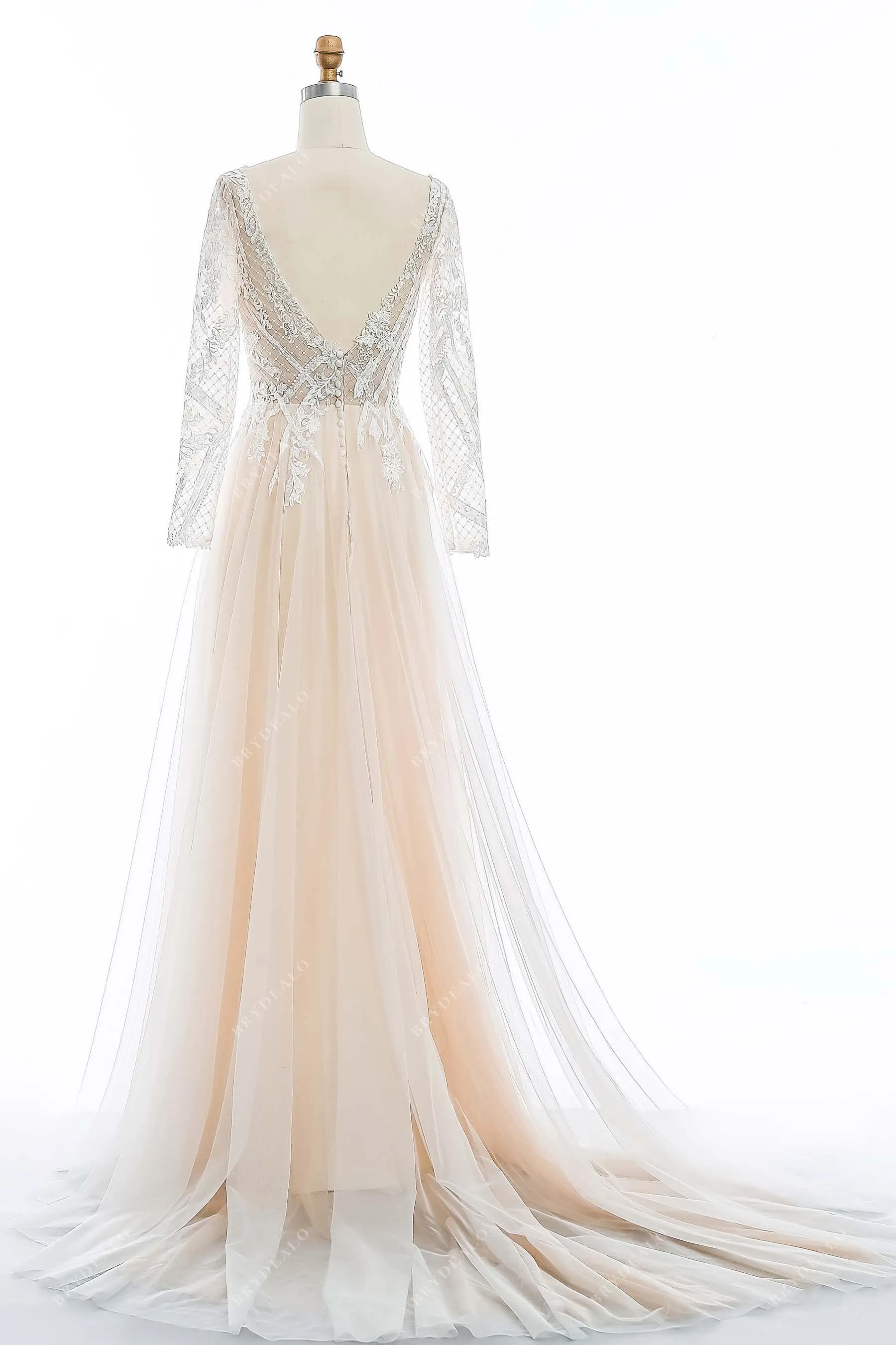 Champagne Lace V-neck Long Sleeve Open Back Wedding Dress